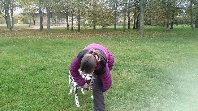 11 октября 2020 г. смотреть онлайн