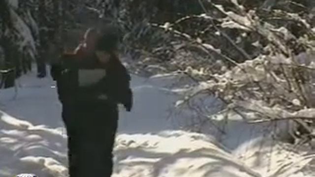 Картографирование лесных фитоценозов смотреть онлайн