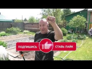 Абиссинка не далеко от Мурома.