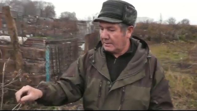 Репейная моль  Готовим сани летом