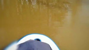 Псекупс, нижнее течение