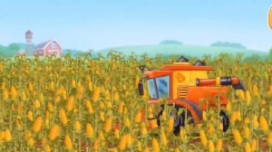 Как растёт кукуруза. Видео для детей./ How to grow corn. Videos for children.