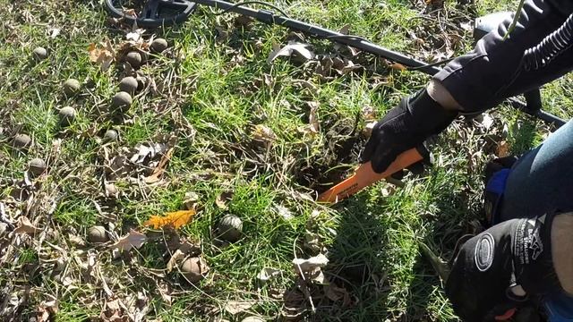 Garrett Pro-Pointer AT vs Minelab Pro-Find 25 Pinpointer Battle