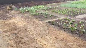Мини Думпер, работа в паре думпер +миниэкскаватор организация стоянки