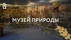 Музей природы. Зима