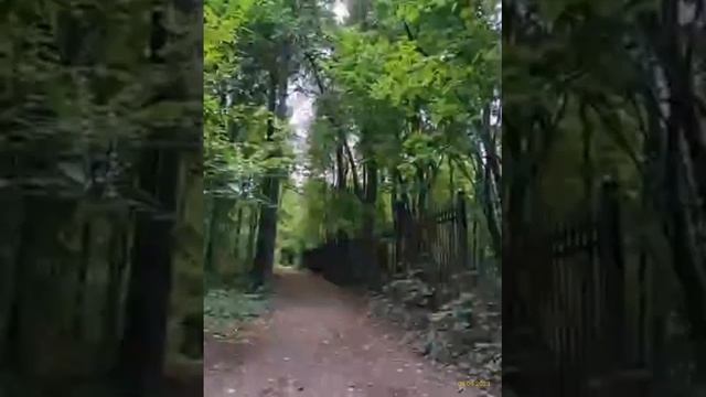 Главный ботанический сад имени Н. В. Цицина РАН 09.09.2023