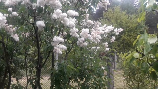 4 июля 2022 г. смотреть онлайн