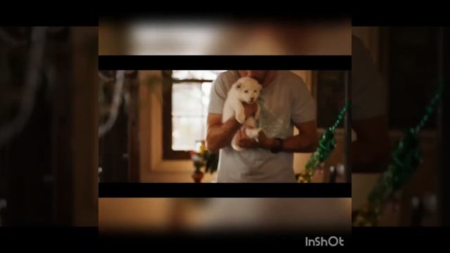 Название ?фильма?: Девочка Миа и белый лев? смотреть онлайн