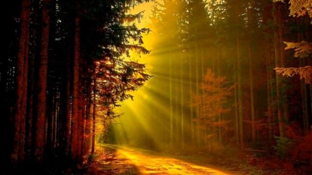 Откуда берутся злые и завистливые люди. смотреть онлайн