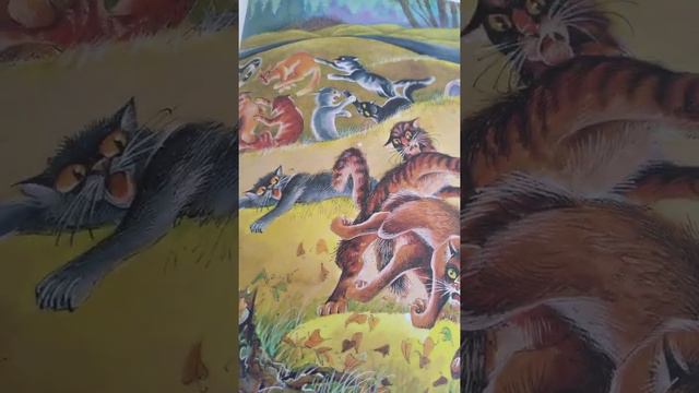 Щербатая - воительница. КВшные теории.