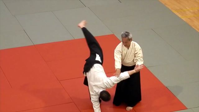 XXVIII CURSO Y. KITAURA SHIHAN ACAE CADIZ MAYO 2016 смотреть онлайн