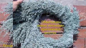 Венок из травы. Мастер класс. Wreath of grass. Do it yourself.