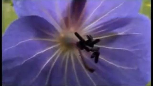 Крем гель для лица, шеи, декольте смотреть онлайн