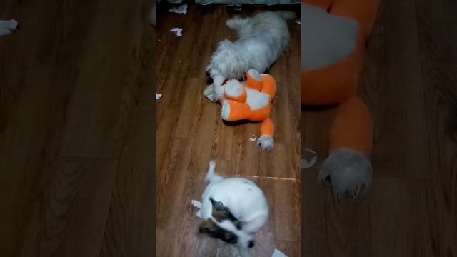 ВЕСЕЛЬЕ ЗАШКАЛИВАЕТ!