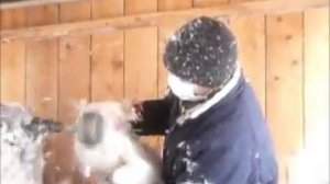 Насадка DuckMaster ощипка домашнего гуся