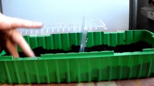 Аквариумные растения в тепличке