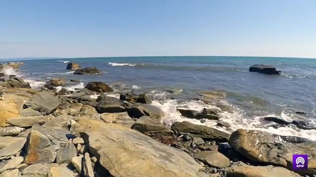 Роберт Адамс | 3.Четыре принципа благородной мудрости | Nikosho смотреть онлайн