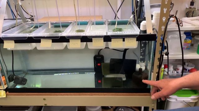 Dean's Fry System - Everything You Need to Know! смотреть онлайн