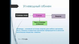 Биология 9 класс. Обмен веществ и энергии в клетке. Людмила Ивановна. Profi-Teacher.ru