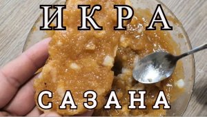 КАК СОЛИТЬ и ГОТОВИТЬ САЗАНЬЮ ИКРУ: Простой способ приготовления ИКРЫ.