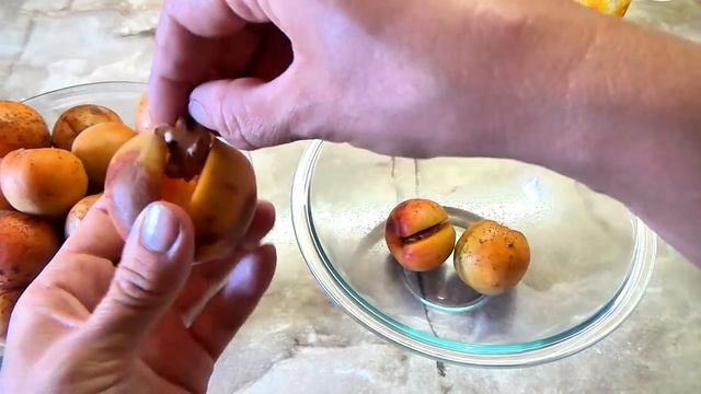 Янтарное Варение из Абрикосов с Грецкими Орехами: Зимний Деликатес. смотреть онлайн