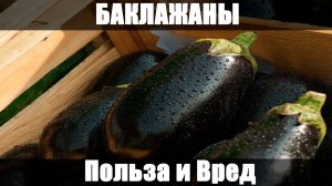 БАКЛАЖАНЫ - Свойства. Польза и Вред. Противопоказания.