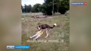 ШОК на девочку напала собака. Взрослые не могут нече сделать..
