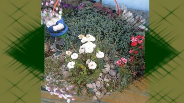 🌹Доброе весеннее утро🌹Музыкальная открытка 🌹 смотреть онлайн