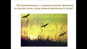 Материал к урокам ИЗО по теме: "Ритм пятен"