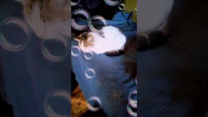 Стихотворение про балет