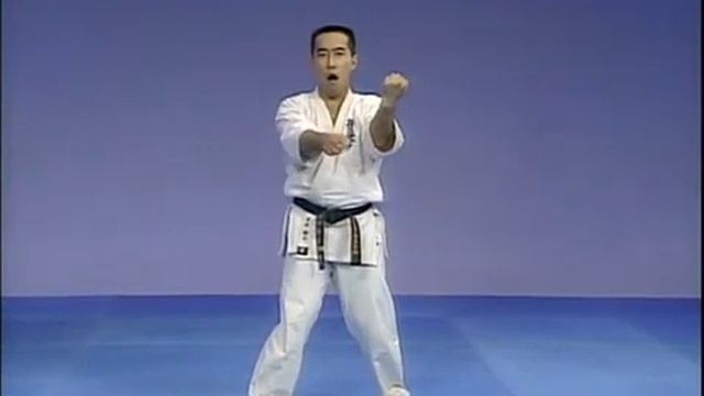 ВСЕ КАТА (Киокушинкай Карате - Kyokushin Karate) смотреть онлайн