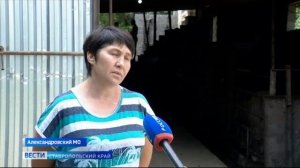 Какой бизнес можно открыть на деньги соцконтракта на Ставрополье