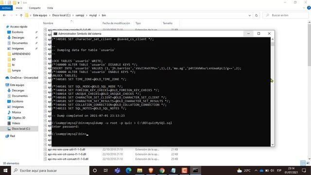Como migrar una base de datos desde MySQL hacia PostgreSQL (por consola de comandos) смотреть онлайн