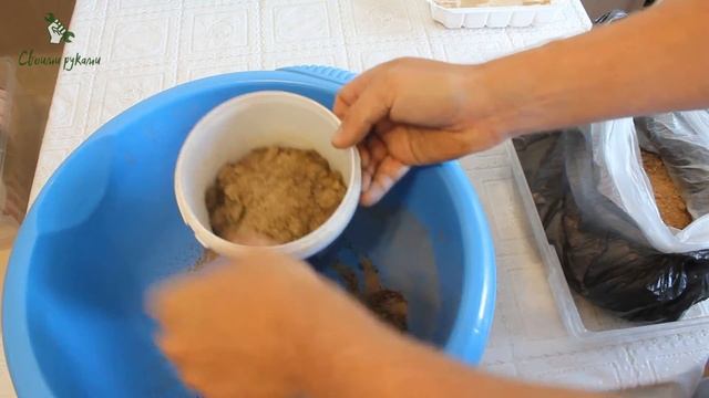 Пересаживаю кедр смотреть онлайн