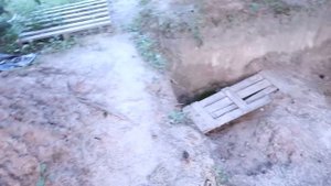 Сбежала из Дома?Живу в ЛЕСУ Одна?Лиза Найс