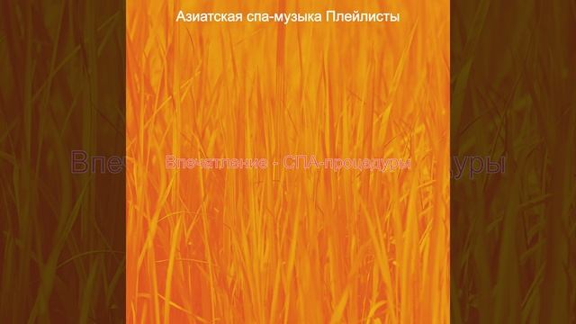 Музыка (СПА-процедуры)