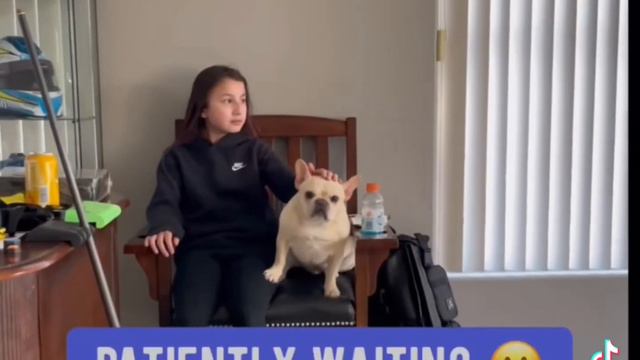 PREDATOR Billiard Arena Light Installation presented by Savannah Easton - Major upgrade! смотреть онлайн