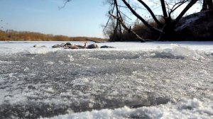Ловля окуня на блесну зимой