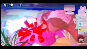 Сундуки в роял хай в лакацыи  солнечные острова:Tilka_play