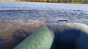 Обкатка лодочного мотора SEA-PRO 5л. на полную мощность, обороты двигателя плавают.