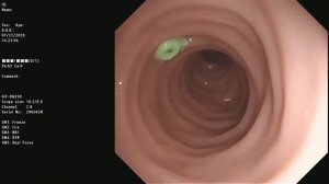 Симулятор ФГДС