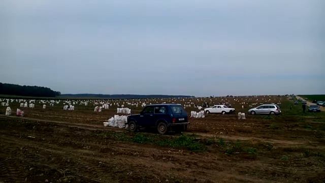 Уборка картофеля жителями РСУП Олекшицы смотреть онлайн