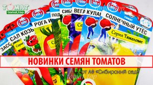 Новинки семян томатов в магазине от АФ Сибирский сад Обзор семян томатов. Выбираем сорта