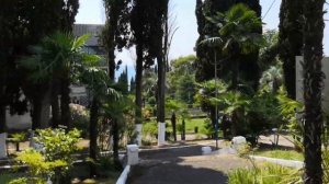 Абхазия п.Цандрыпш Пионерский Лагерь" Рассвет" ДГТФ