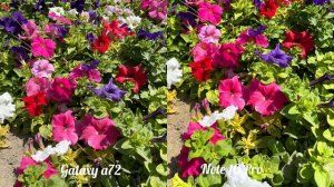 Samsung Galaxy A72 vs Redmi Note 10 Pro Camera Test