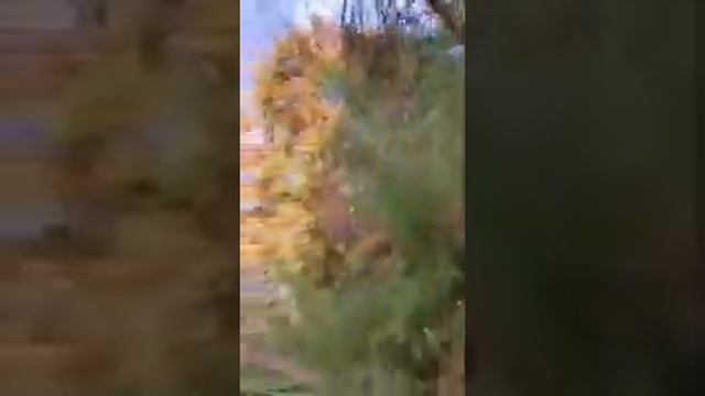 Exploring my land awesome fort смотреть онлайн