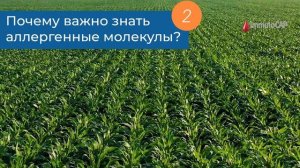 Почему важно знать аллергенные молекулы?  №2