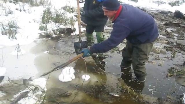 Рыбалка в Берёзовке