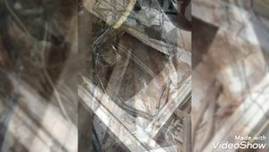 сварка кузова мерседес 124