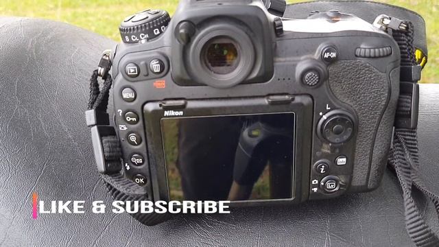 Nikon D500 Auto focus Settings for Bird Photography - Nikon D500 Auto focus System смотреть онлайн